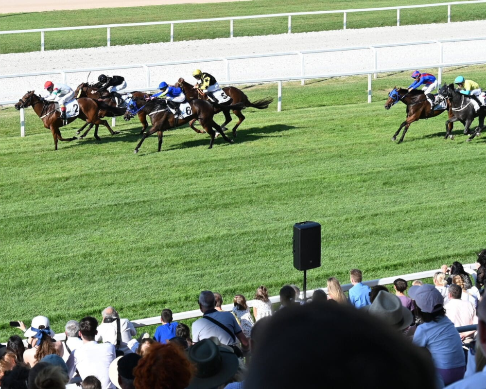 Horse racing events Hungary