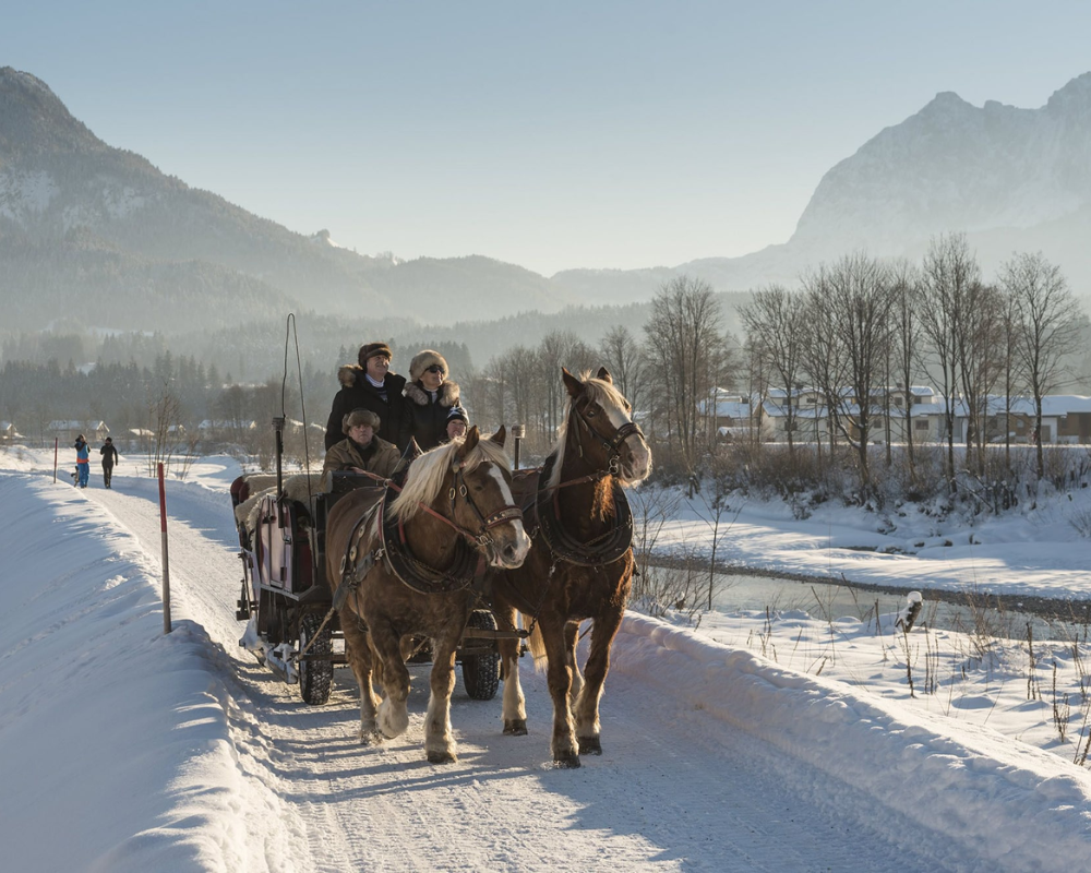 Traditional horse carriage rides