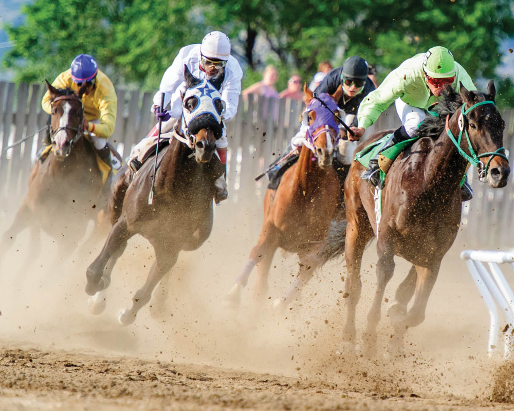 Horse racing excitement