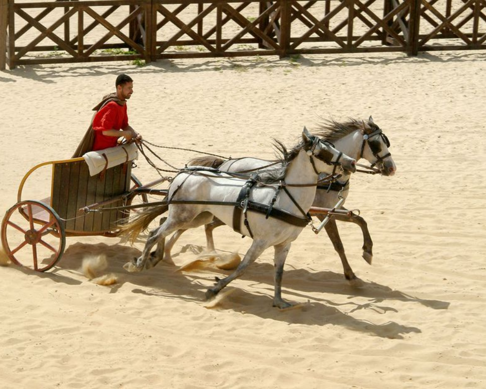 Historic horse-drawn competitions