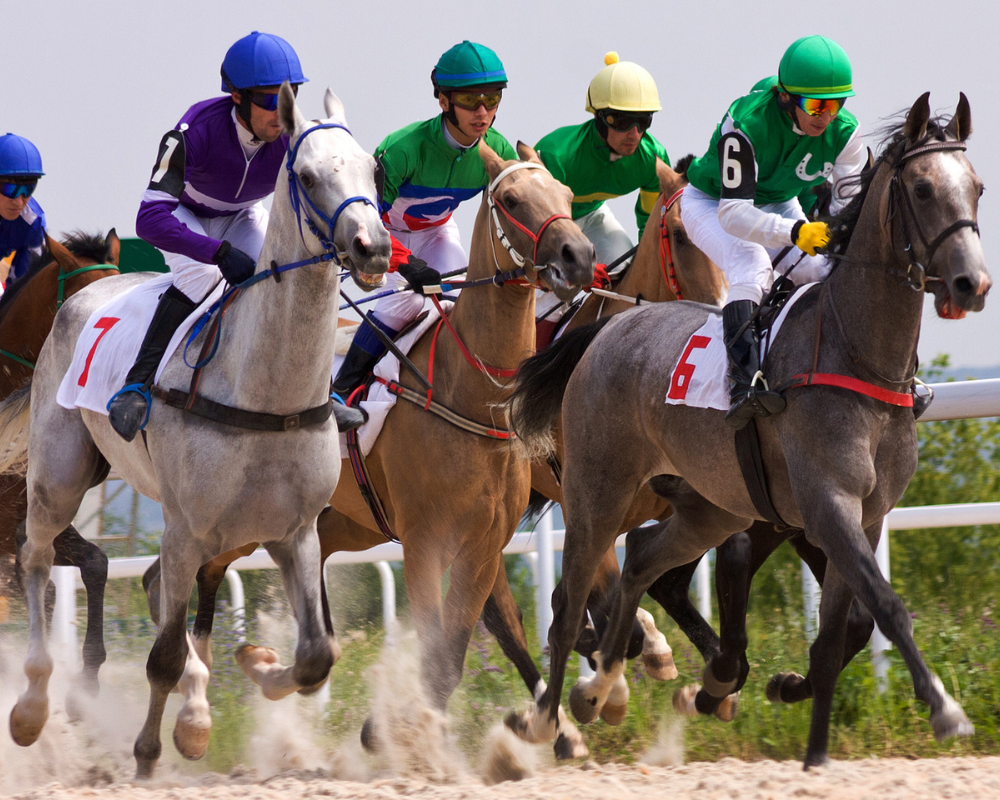 Horse gear in team racing