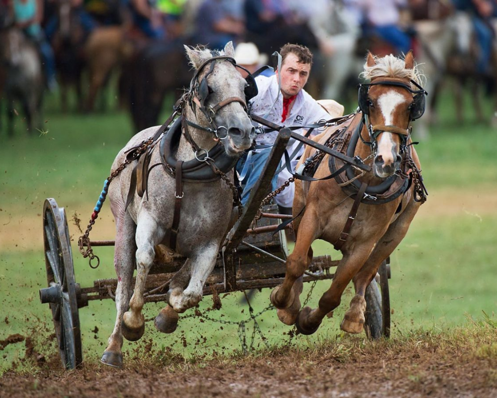 Wagon racing sport