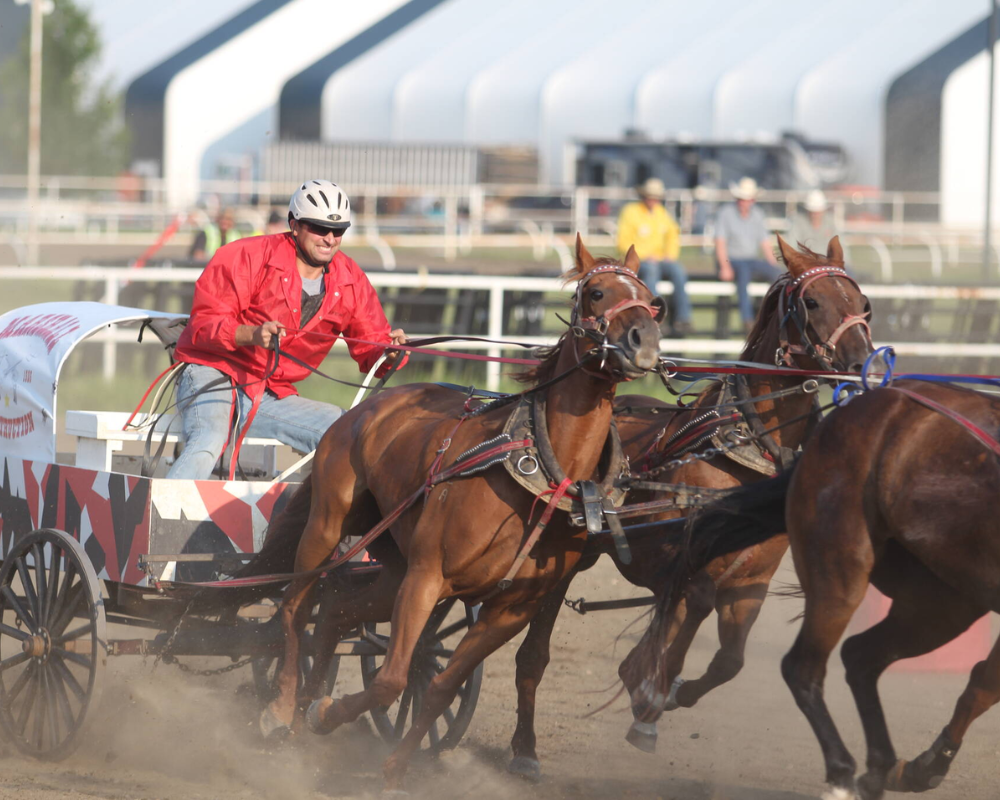 Wagon racing Hungary