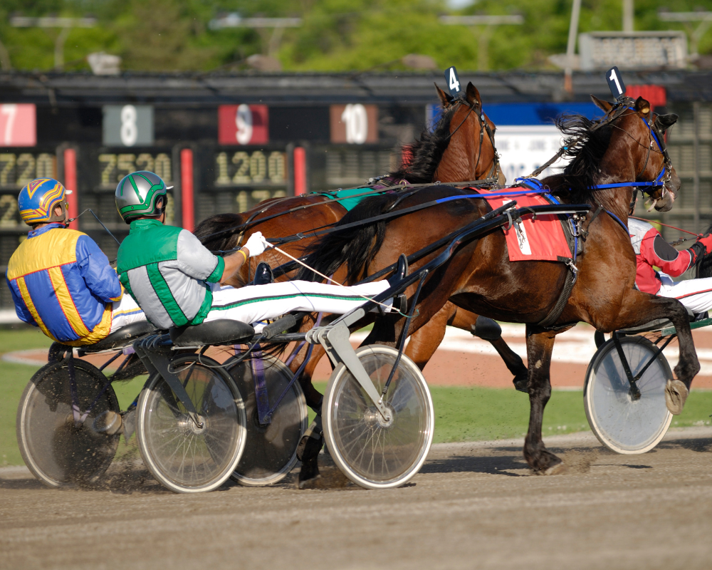 Carriage racing