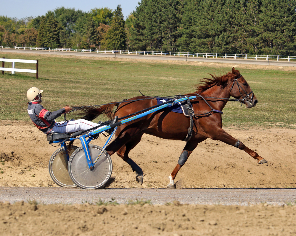 Carriage racing