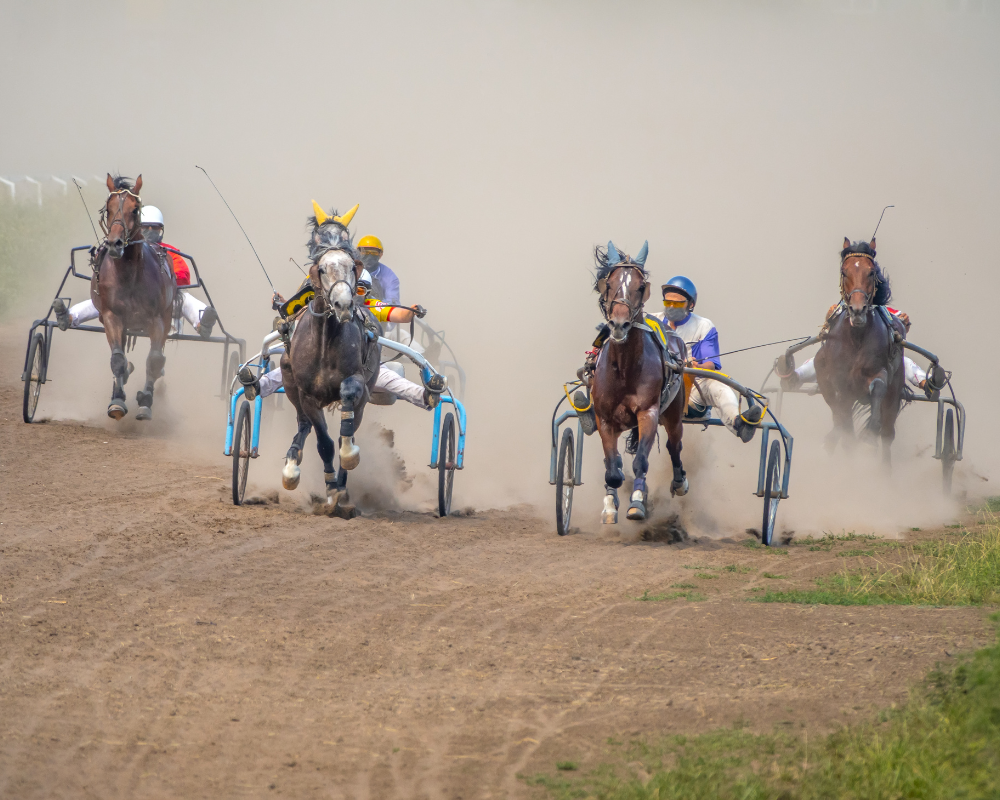 Carriage racing