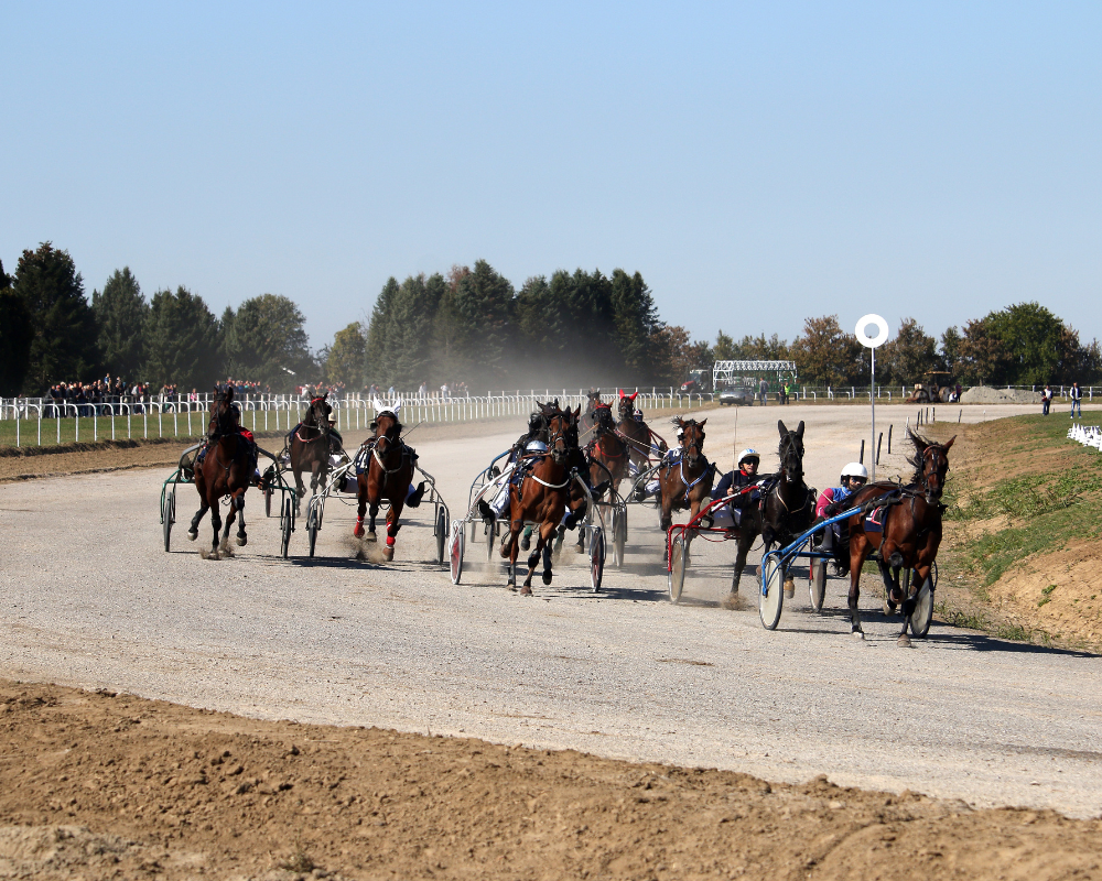 Carriage racing