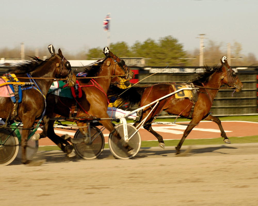 Carriage racing