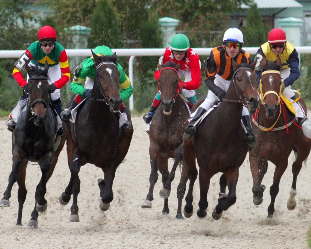 Carriage racing