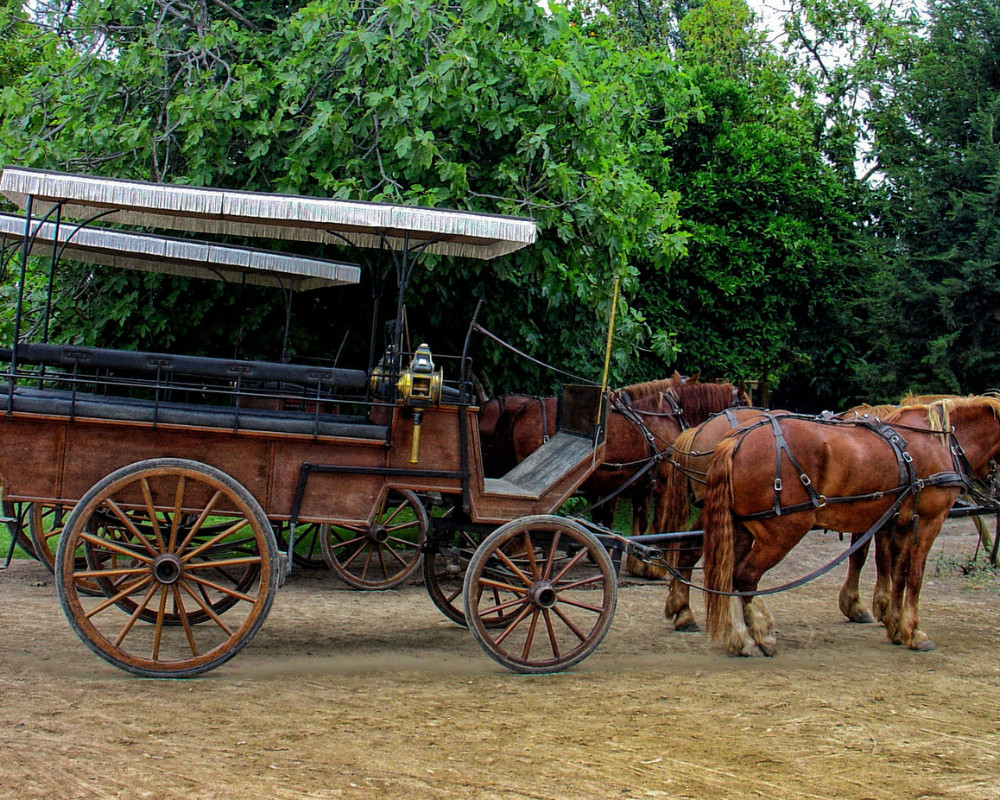 Carriage racing