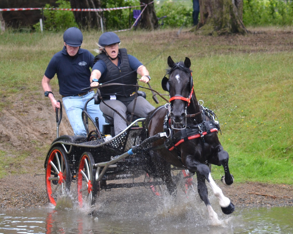 Carriage racing