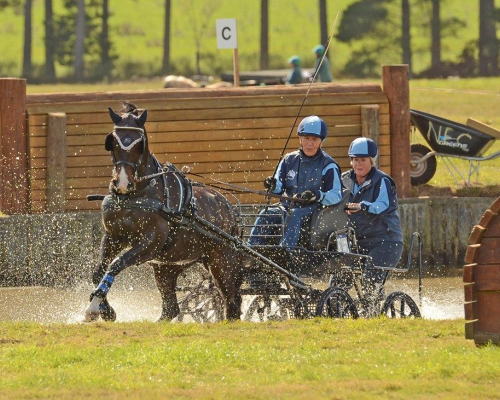 Carriage racing