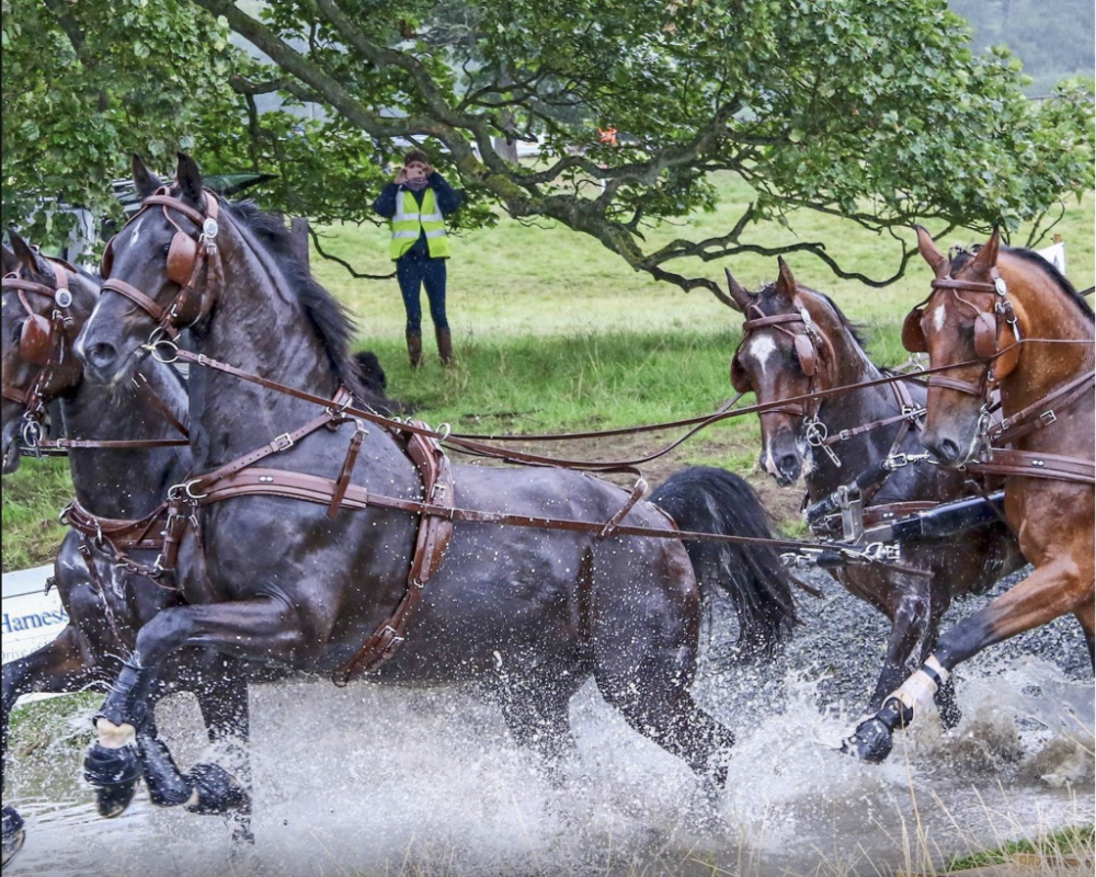 Horse racing