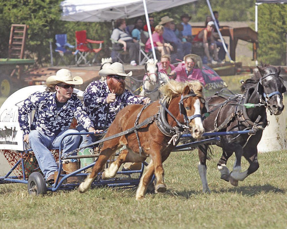 Horse racing