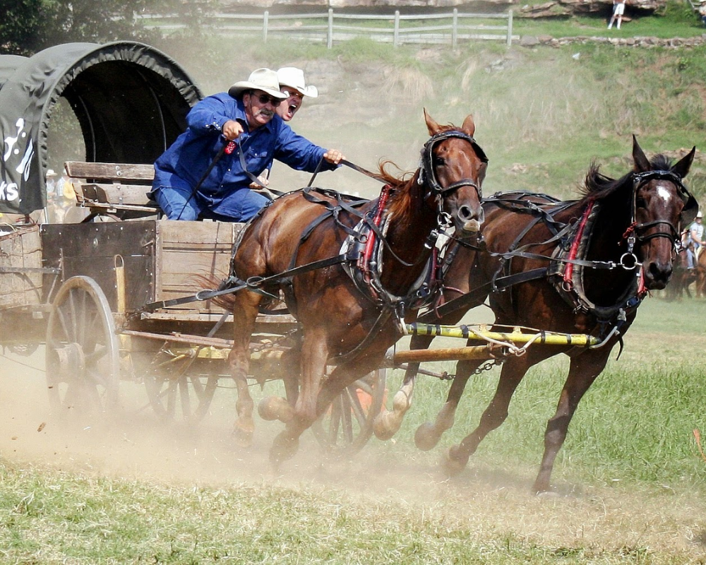 Horse racing