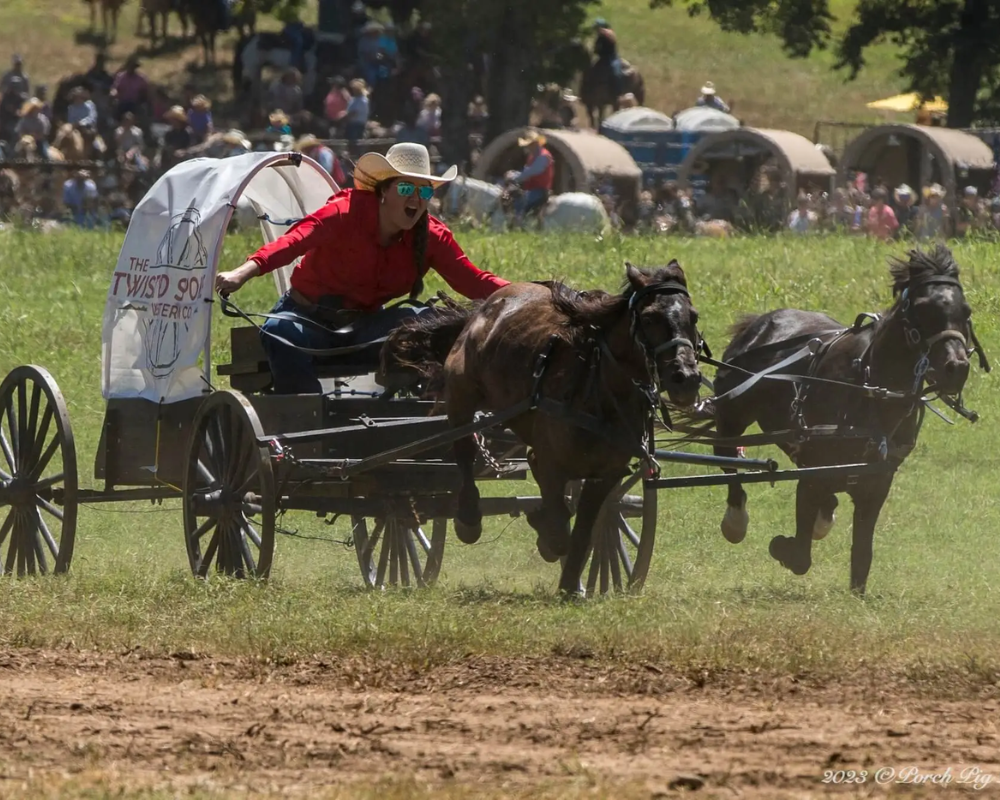 Horse racing