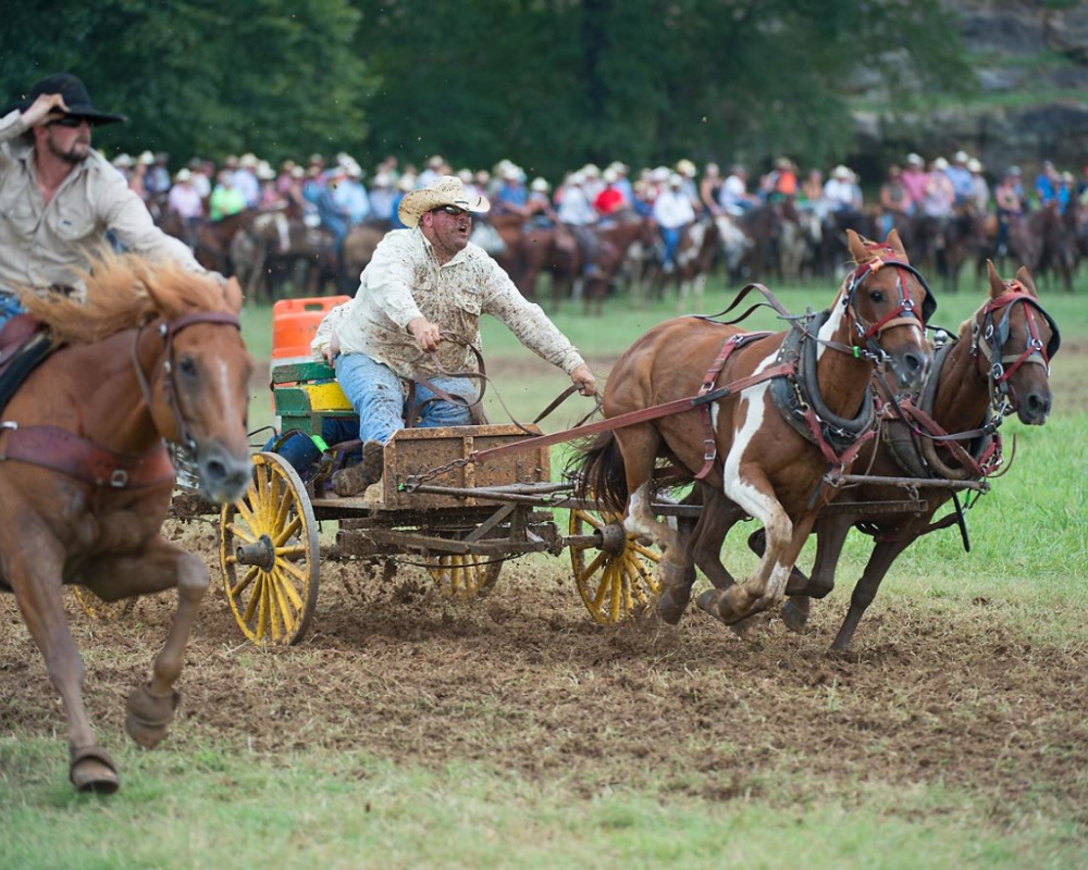 Horse racing