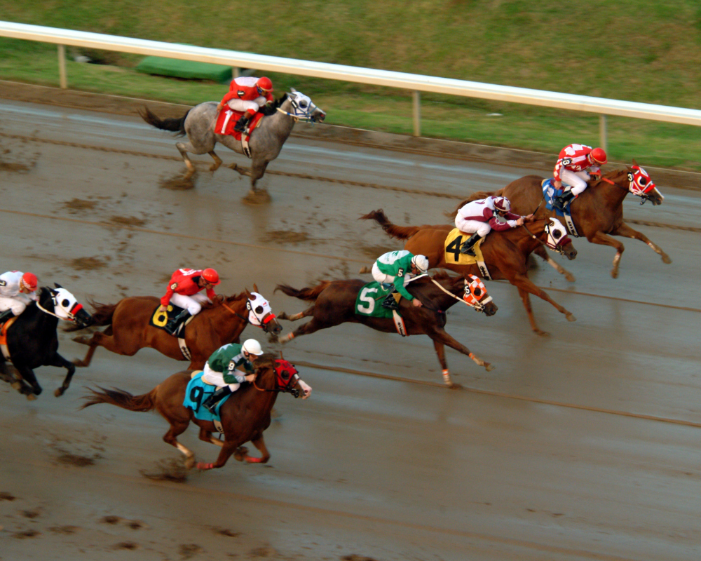 Horse racing