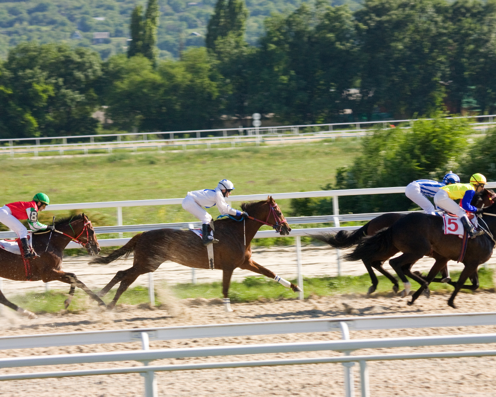 Horse racing