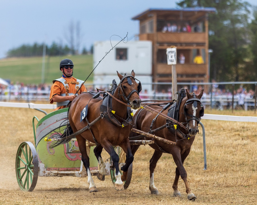 Horse racing