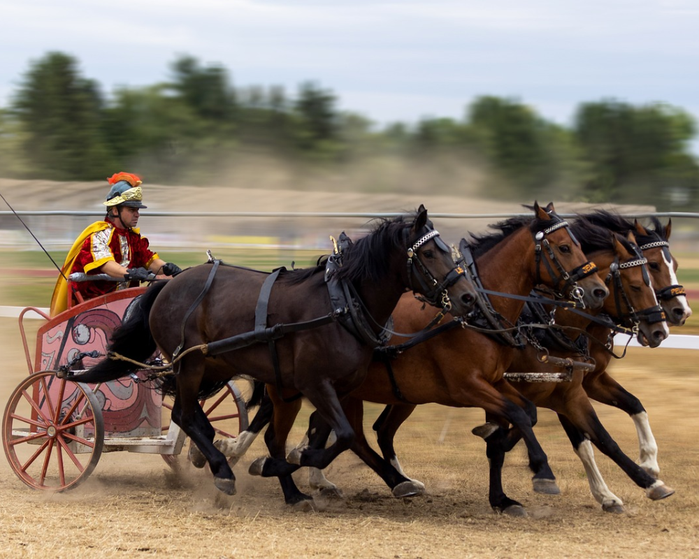 Horse racing