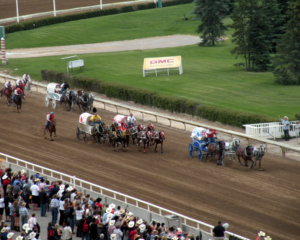 Horse racing