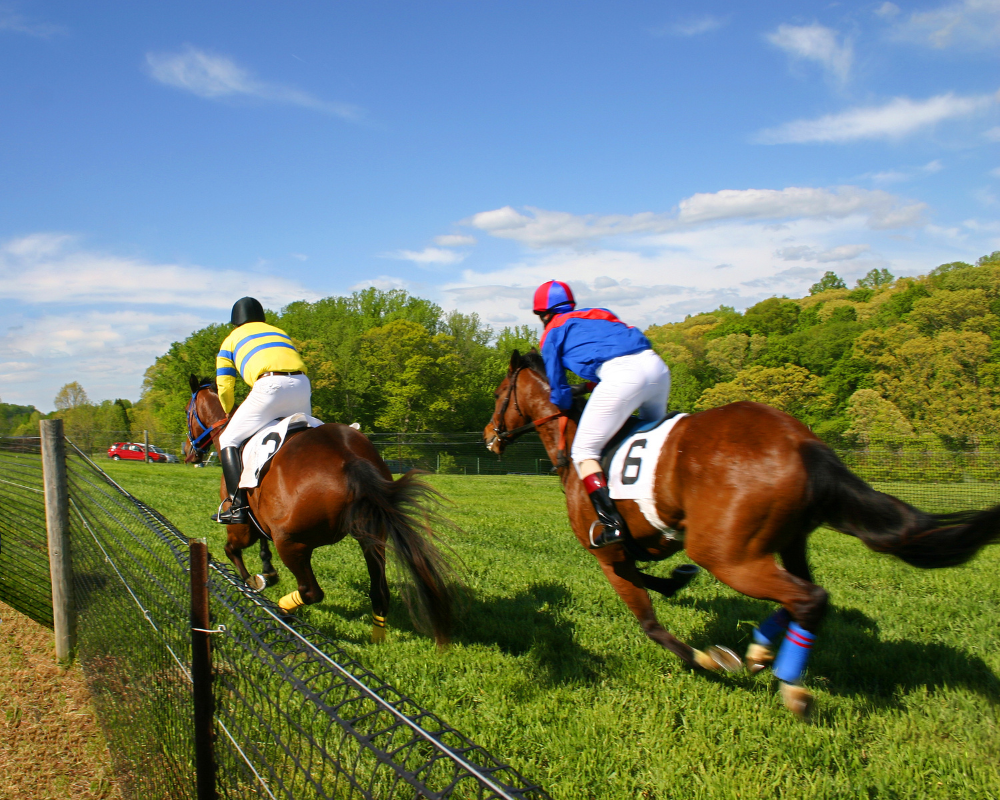 Horse racing