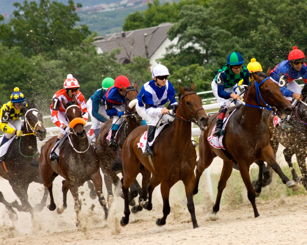 Horse racing