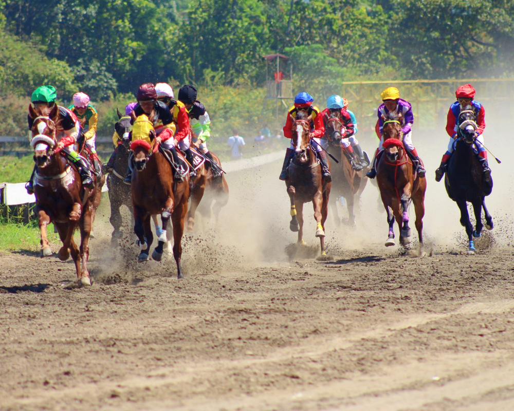 Horse racing