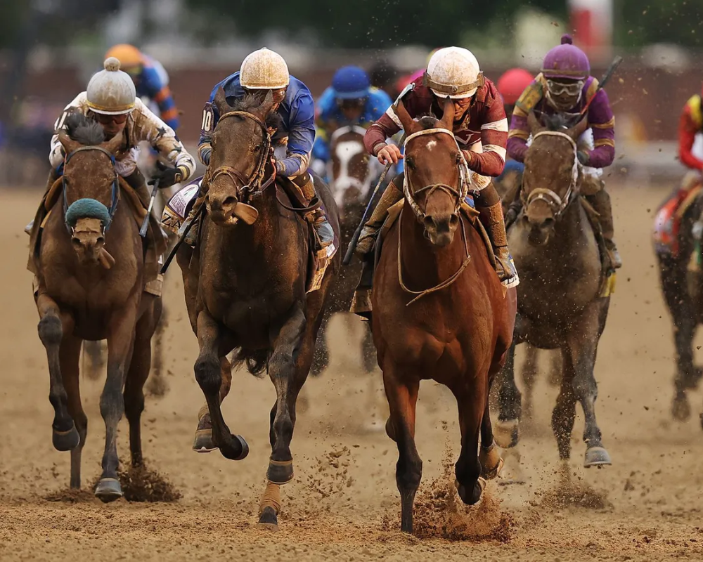 Horse racing